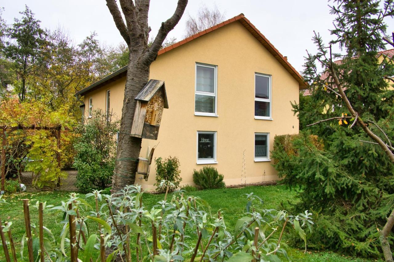 Mycozyplace - Zwei Gemuetliche Zimmer Fuer Vier Dresden Bagian luar foto